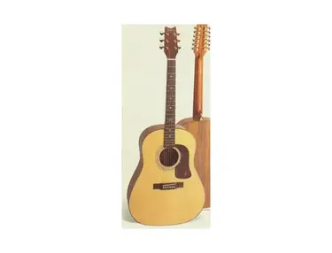 Washburn D25 N
