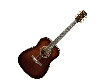 Ibanez Artwood AW30
