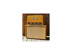 Little Walter Twin Series 50/50 with 2x12 cabinet