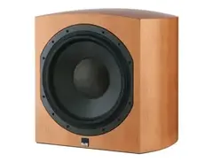 Bowers & Wilkins ASW 855