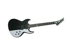Peavey PXD Tomb II