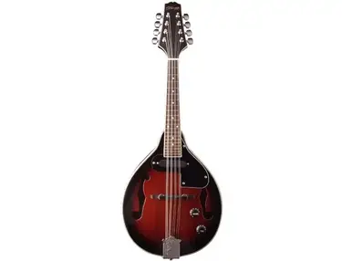 Stagg me50e Mandolin