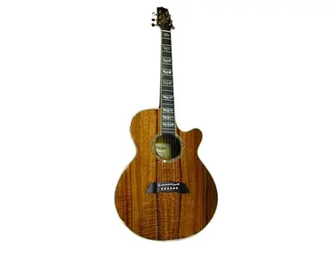 Takamine cp181ack