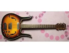 Coral Longhorn (1966-1969)