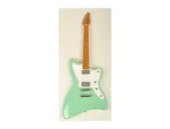 SX Guitars Liquid Humbuckers main image