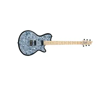 Godin Radiator Cool Sound