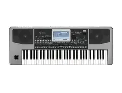 Korg PA900 61-Key Pro Arranger Keyboard