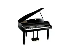 Kawai CP 209