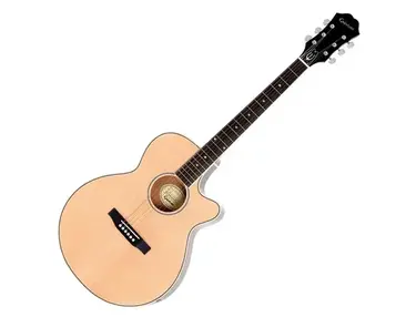 Epiphone PR-4E