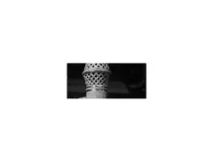 Giantto Million Dollar Mic