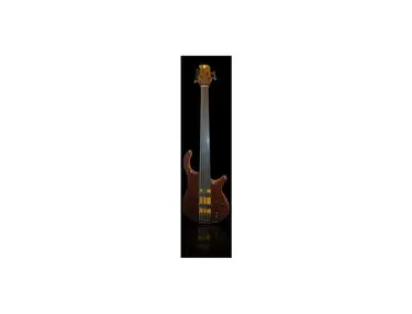 Compito Fretless 5