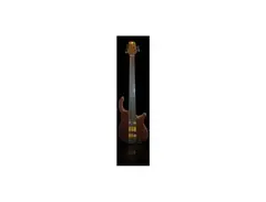 Compito Fretless 5 main image
