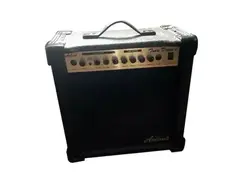 Aria Pro Twin Drive II Amp main image