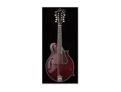 Collings MF Deluxe main image