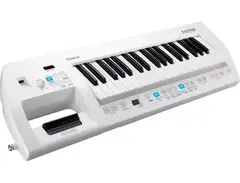 Roland Lucina AX-09