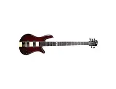 Spector NS2000/5 Dan Briggs Signature Model