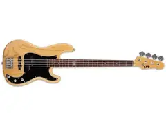 ESP Ltd Vintage-214