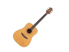 Takamine GS330S