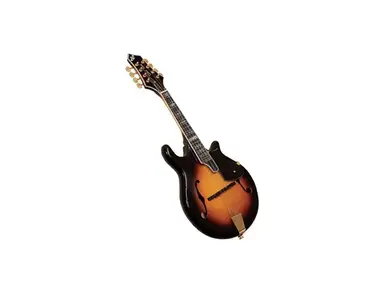 Goldtone GM-110 Mandolin