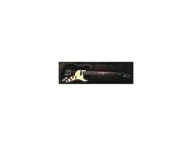 Moon Guitars Japan Custom Telecaster