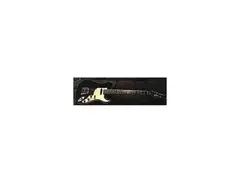 Moon Guitars Japan Custom Telecaster - What To Know & Where To Buy