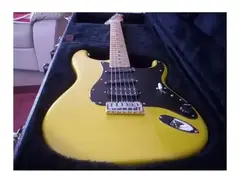 ESP Stratocaster main image