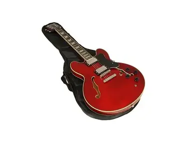 Benson ES Double Cutaway semi acoustic