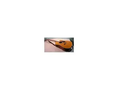 Esteban Acoustic Master Cutaway Series