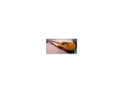 Esteban Acoustic Master Cutaway Series main image