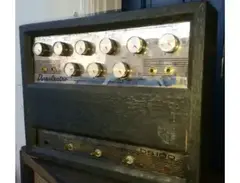 Danelectro DS-100 main image