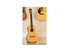 Martin 2-20