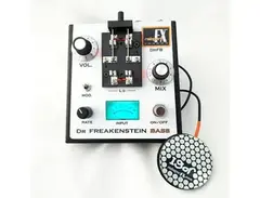 Rainger FX Dr Freakenstein Bass with Igor