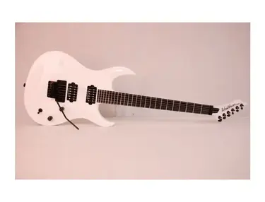Washburn WM526