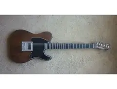 Baccaglioni Telecaster Lula Bertoldi Model