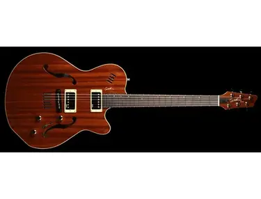 Godin Montreal Acoustic/Electric