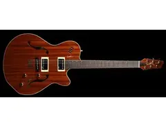 Godin Montreal Acoustic/Electric