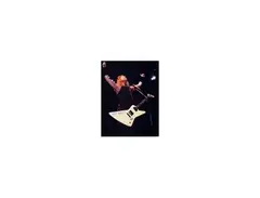 James Hetfield ESP Explorer "EET FUK"