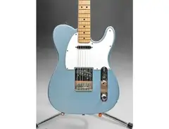 SX Furrian Guitar MN