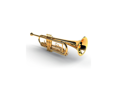 Ashton Music Brass Trumpet Flat Bb