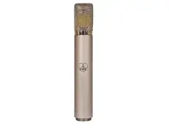 AKG C12