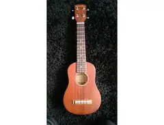 Godman Ukelele main image