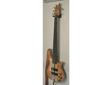 Belgrado custom 5-string bass