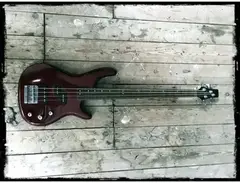 Cort long scale met P/J (fretless) main image