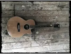 Epiphone Orville EO1 main image