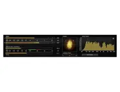 IK Multimedia T-RackS Metering