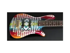 warwick streamer stage II Pendelton rug
