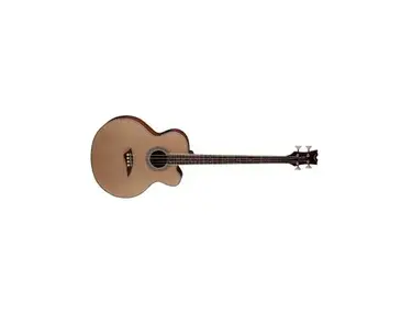 Dean EAB C Acoustic-Electric Bass