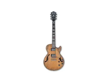 Ibanez AGS83 Hollow Body Electric Guitar
