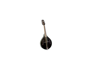 Kentucky Mandolins KM 161 Mandolin