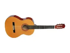 Sunlite acoustic guitar with nylon strings